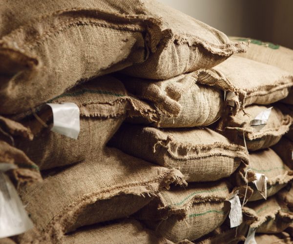 Jute bags filled with coffee beans are stacked neatly in a storage area, prepared for export to international markets.